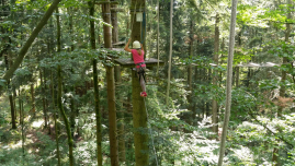 2016 - Urlaub auf dem Bauernhof